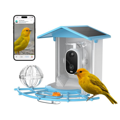 FeatherWatch Feeder