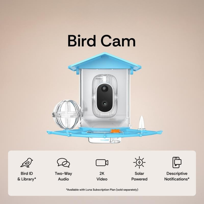 FeatherWatch Feeder