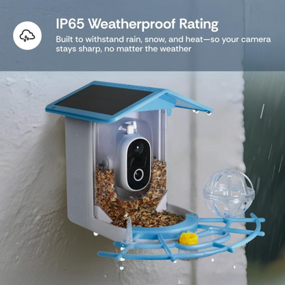 FeatherWatch Feeder
